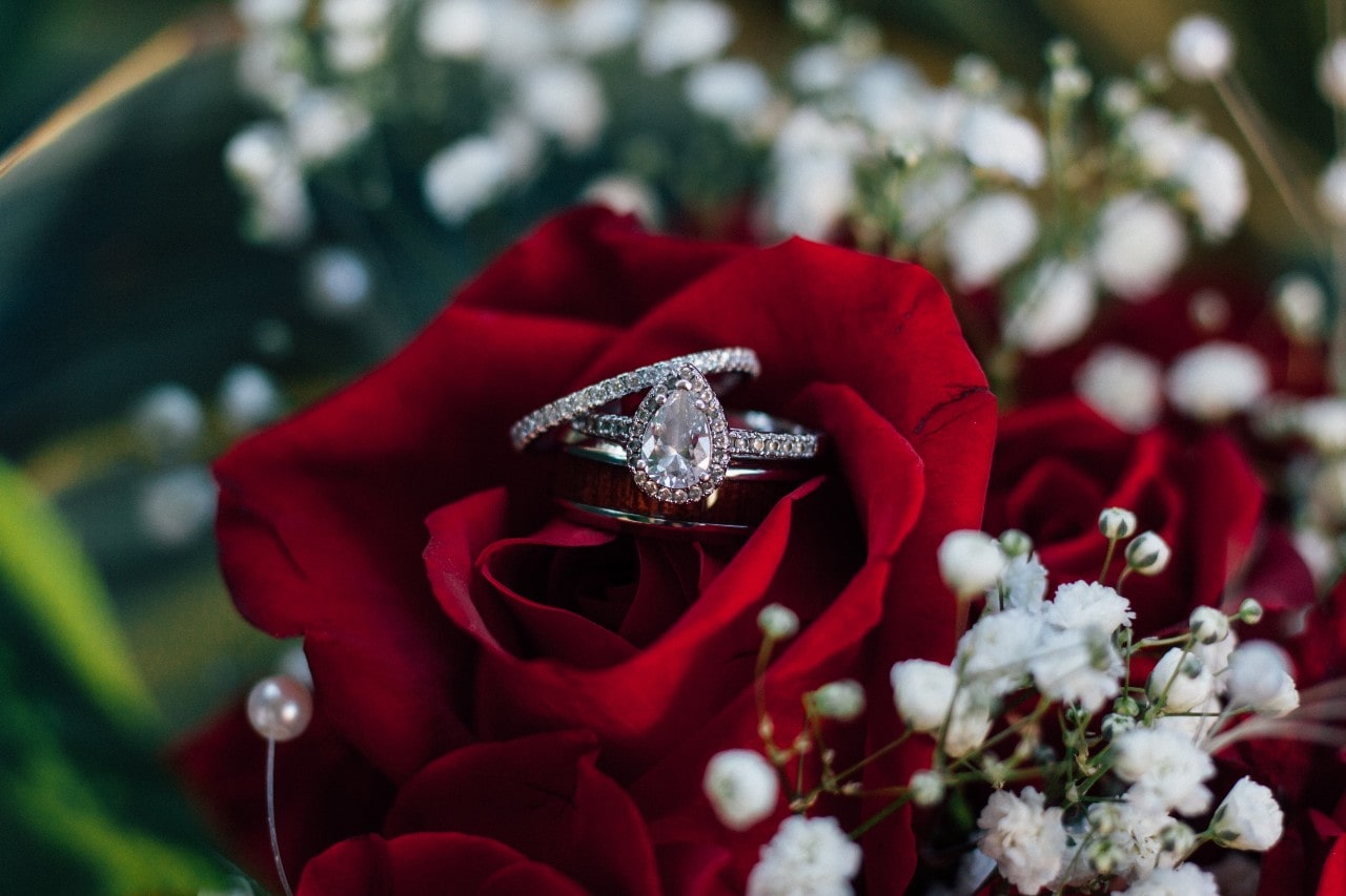 A red rose holding a pear shaped engagement ring and two diamond wedding bands.