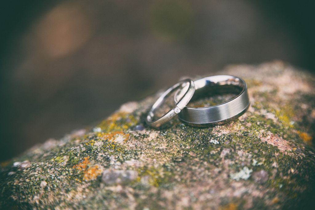 A women’s wedding band leans against a men’s wedding band on a mossy tree branch.